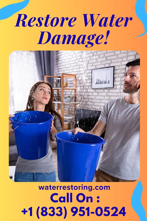 water restoration Local Extraction LLC Olive Branch