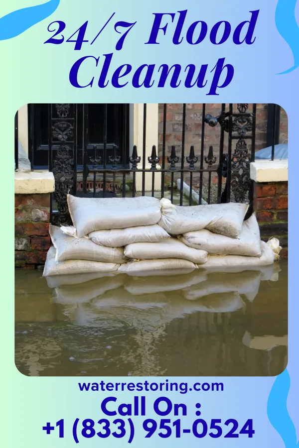 24/7 Flood Cleanup in Olive Branch, MS