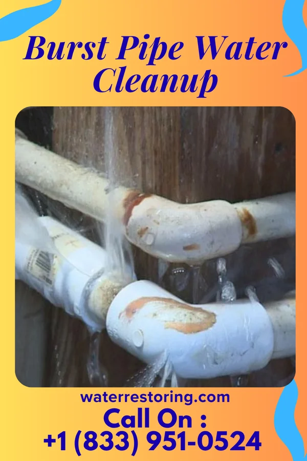 Burst Pipe Water Cleanup in Olive Branch, MS