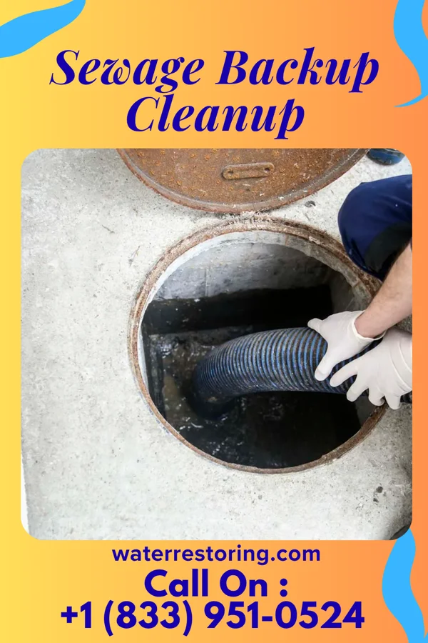 Sewage Backup Cleanup in Olive Branch, MS