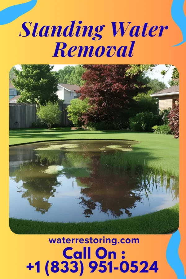 Standing Water Removal in Olive Branch, MS